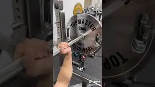 Topmaster Pro Chromed Hand Grip Steel Weight Plates with Color Strip 5kg-25kg\