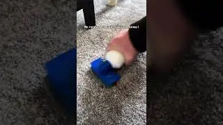 Плямовивідник, який повинен бути у кожному домі! 🧼🛋️ Dr.Beckmann #прибирання