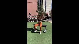 Seated Arnold Press