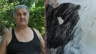 Zbog vrućina medvjede kupa tri puta dnevno