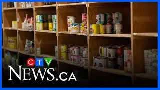 Food insecurity surges as Canadians struggle with rising cost of living