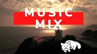 Funky lounge relaxing beats - Purrfect Music