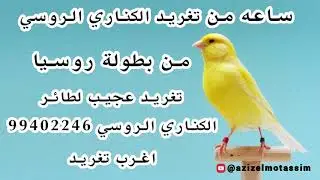 ساعه من تغريد عجيب لطائرالكناري الروسي 99402246 - بطولة روسيا - اغرب تغريد