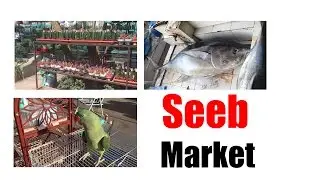 Seeb Market Oman | سوق السيب