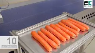 Picker sortiert M&ouml;hren | CLK GmbH