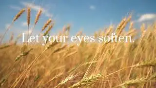 Just One Pause for Focus