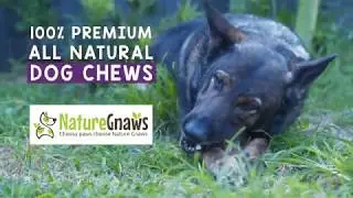 Nature Gnaws Medium Braided Bully Stick Available on Amazon