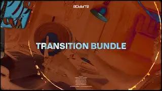 TRANSITION BUNDLE