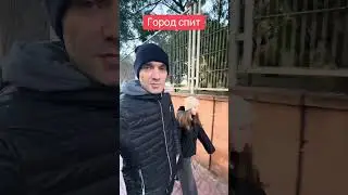 Ссылка в профиле