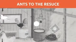 Ants to the Rescue