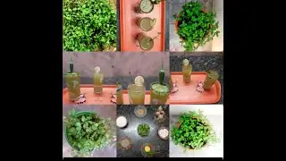 Fresh mojito/restaurant style mint juice in two minute, three different style mint juice