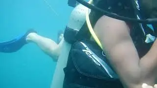 SCUBA DIVING INDIA at Netrani Island, Murudeshwar, Karnataka|OCTOBER TO MAY
