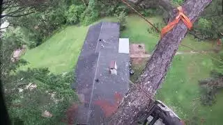 RIGGING TECHNIGQUE - TREE REMOVAL