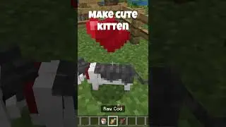 How to breed cats in minecraft