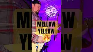 High-Gain Blues Meltdown | Pure Guitar Intensity