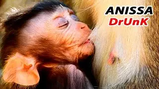 GREAT DRUNK OF ANISSA ..!! ANNA GIVE GREAT MILK TO ANISSA SO FULLY TILL DRUNK IN SOFT CHEST