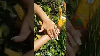 IMC Aloe Sunscreen Lotion #imcherbaltips