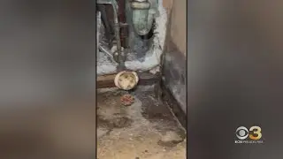 Inspectors reveal conditions of Atlantic City apartment complex
