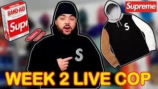 I COPPED! Supreme SS19 Week 2 LIVE COP SUCCESS (S Logo Manual Checkout)