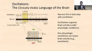 The EEG as a Biomarker of Perioperative Brain Vulnerability Patrick L Purdon  Ph D 9 18 23