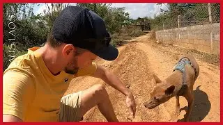 Sandy village roads in Laos – and why they’re so tricky | Moment from: Ban Nok - the loud side