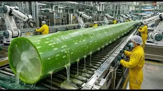 Inside the Factory: How Refreshing Aloe Vera Juice Is Made | Full Manufacturing Process