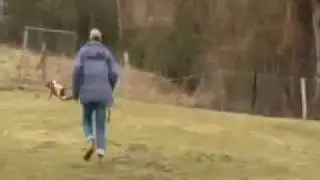 Ostrich Attacks Kid Video