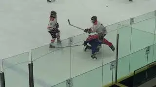 Eastern Stars v Windsor and Slough Knights - 18/01/2026 (Third Period).
