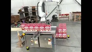 Depalletizing System using a Cobot