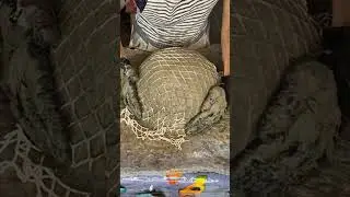 Amazing Concrete & Coconut Fibre Hanging Basket