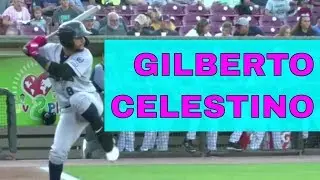 Gilberto Celestino Highlights | Minnesota Twins Prospect