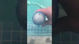 OUTDOOR POOL MAINTENANCE IN DECEMBER!! #shorts #thep00lguy #satisfying