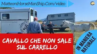Cavallo che non sale sul carrello