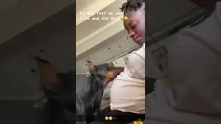 Adorable Pup ﻿Listens to Pregnant Parent's Stomach! #Dogs #Cute #Shorts