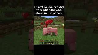 Don't let your bro play alone in the server😭 #minecraft #memes  #minecraftmemes #shorts #trending