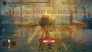 1 day 1 Elden Ring boss - Day 10 | Flying Dragon Agheel