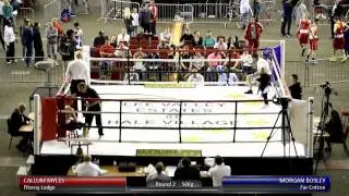 Haringey Box Cup QF - Callum Myles v. Moran Bosley