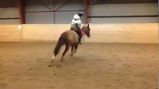 pinnen
