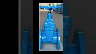 DIN 3352 F4 F5 resilient seat wedge gate valves #gatevalve #industrialvalves #valve #valves