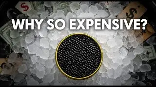 The production process of CAVIAR, one of the three most exquisite delicacies in the world [Complete]