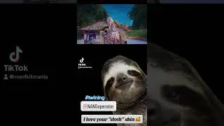 #sloth #game