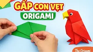 Cách gấp con vẹt origami đơn giản cho bé | Thư Origami