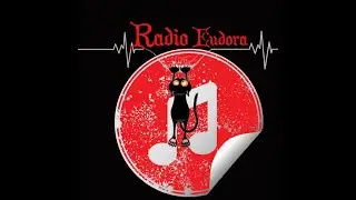 Transmiss&atilde;o ao vivo de EUDORA music eletronicas