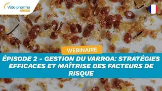 Webinaire Épisode 2 - Gestion du varroa: stratégies efficaces et maîtrise des facteurs de risque