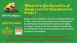 What are the benefits of deep root fertilization for trees?