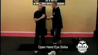 Stop a Criminal In 1 Move - Start Training @ SelfDefenseCollege.com -The Leader In  Self-Defense