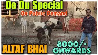 8000/- De Du Special Saste Bakra Bakri At ALTAF BHAI | Dhamaka Offer Goat In Kalyan|@Rizwankranti
