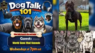 Dog talk 101: E8: What Bully Breed is the Real Bully?