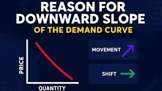 Reason for Downward Slope of Demand Curve 📉 | +Movement in demand vs Shift in Demand Curve | +Graph📈