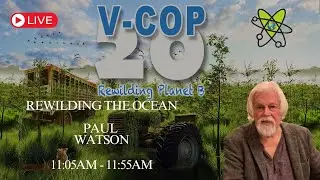 VCOP-20 